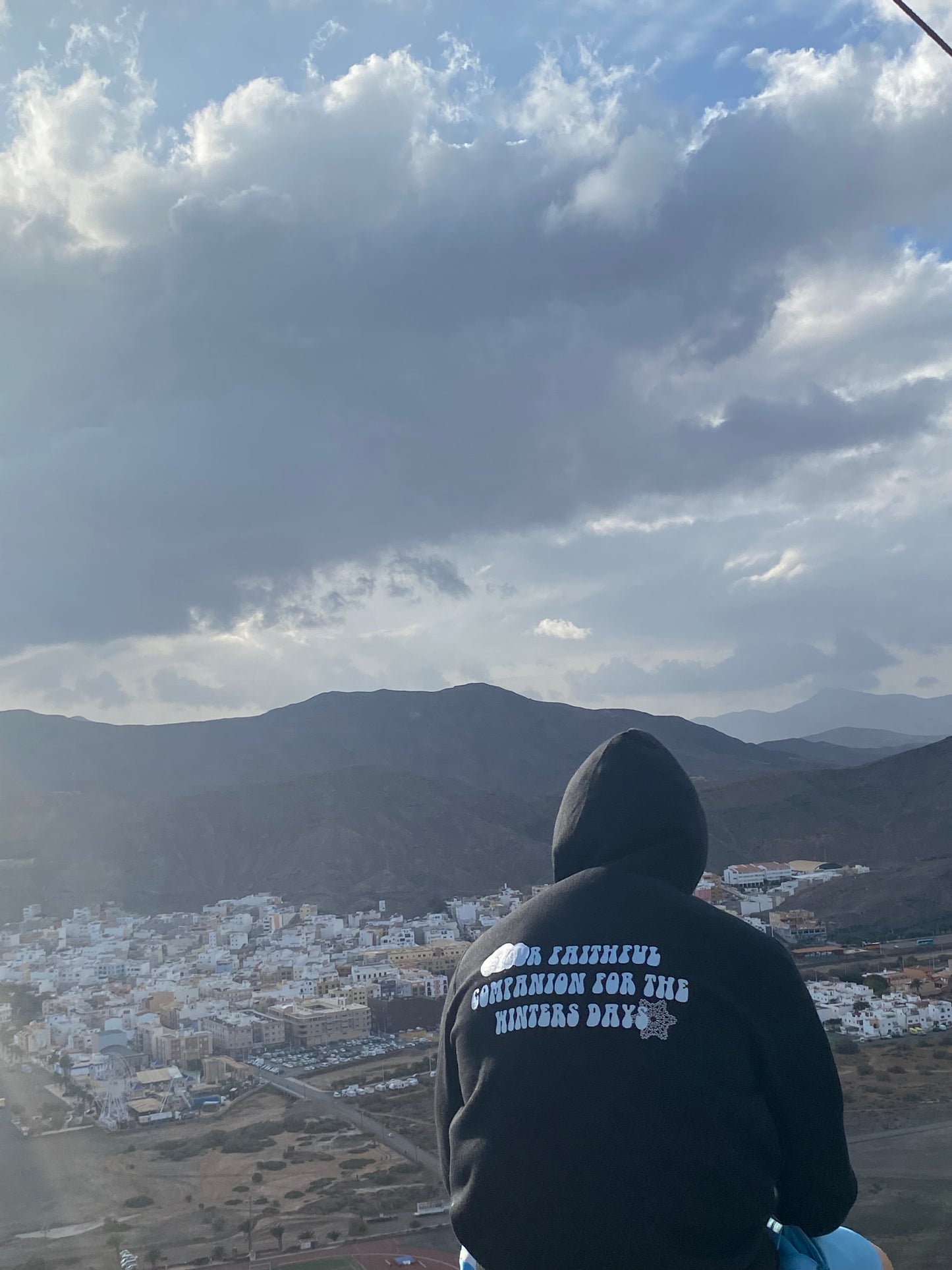 Sudadera compañera